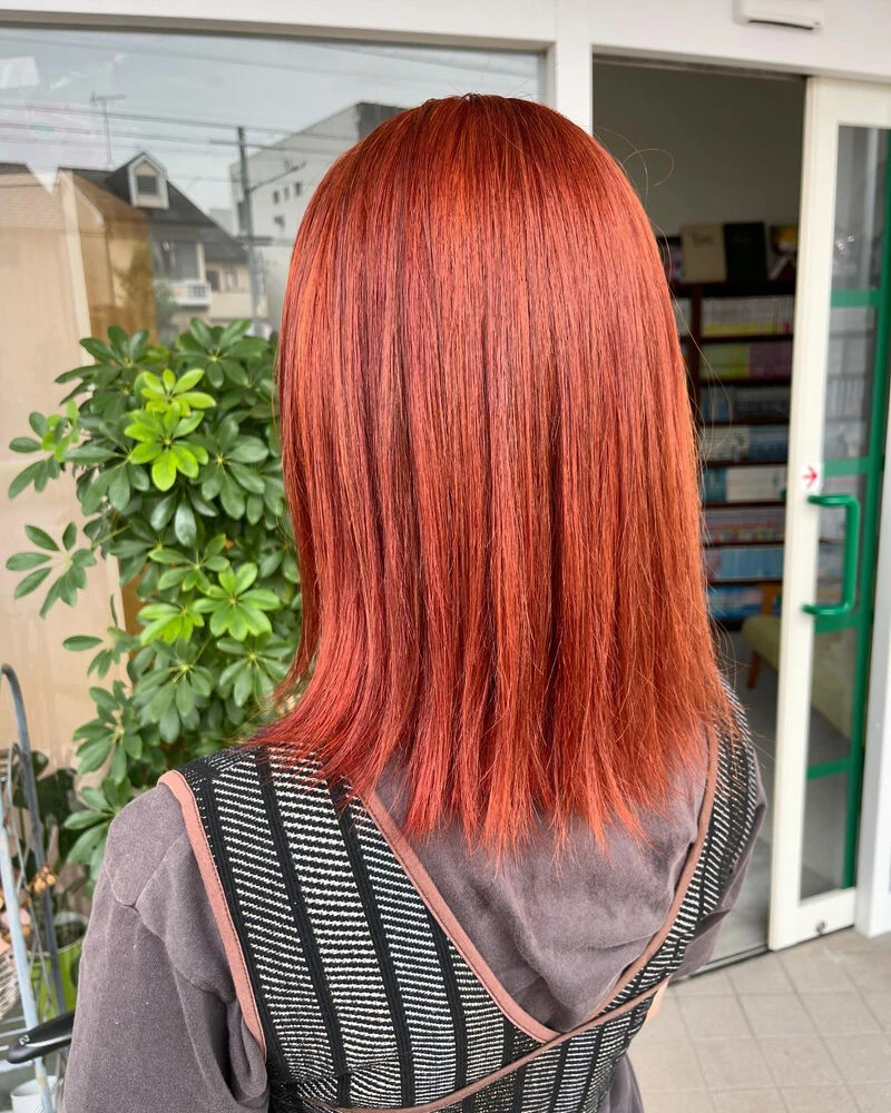 ブログ