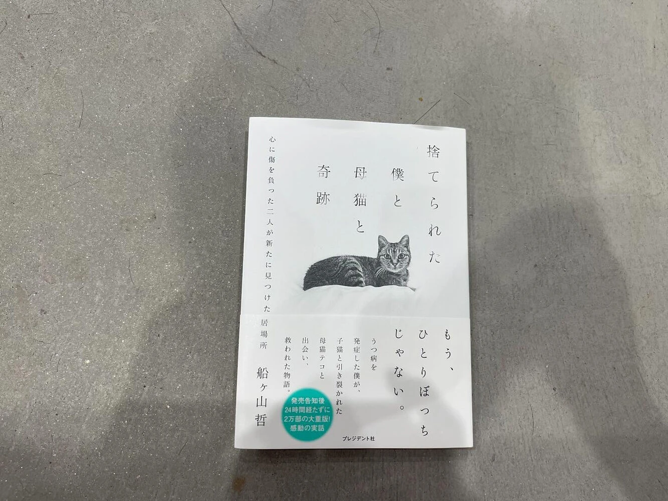 ブログ